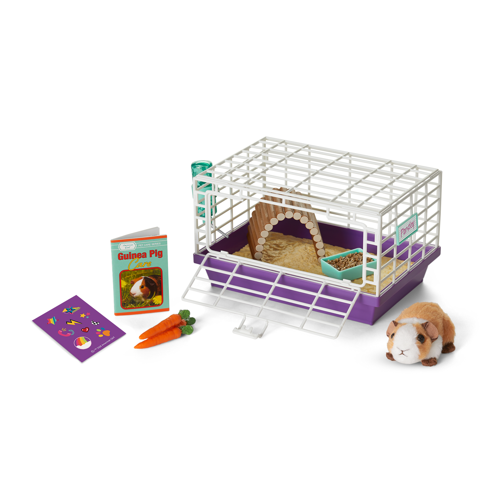 Courtney's™ Guinea Pig (Historical Characters) K6