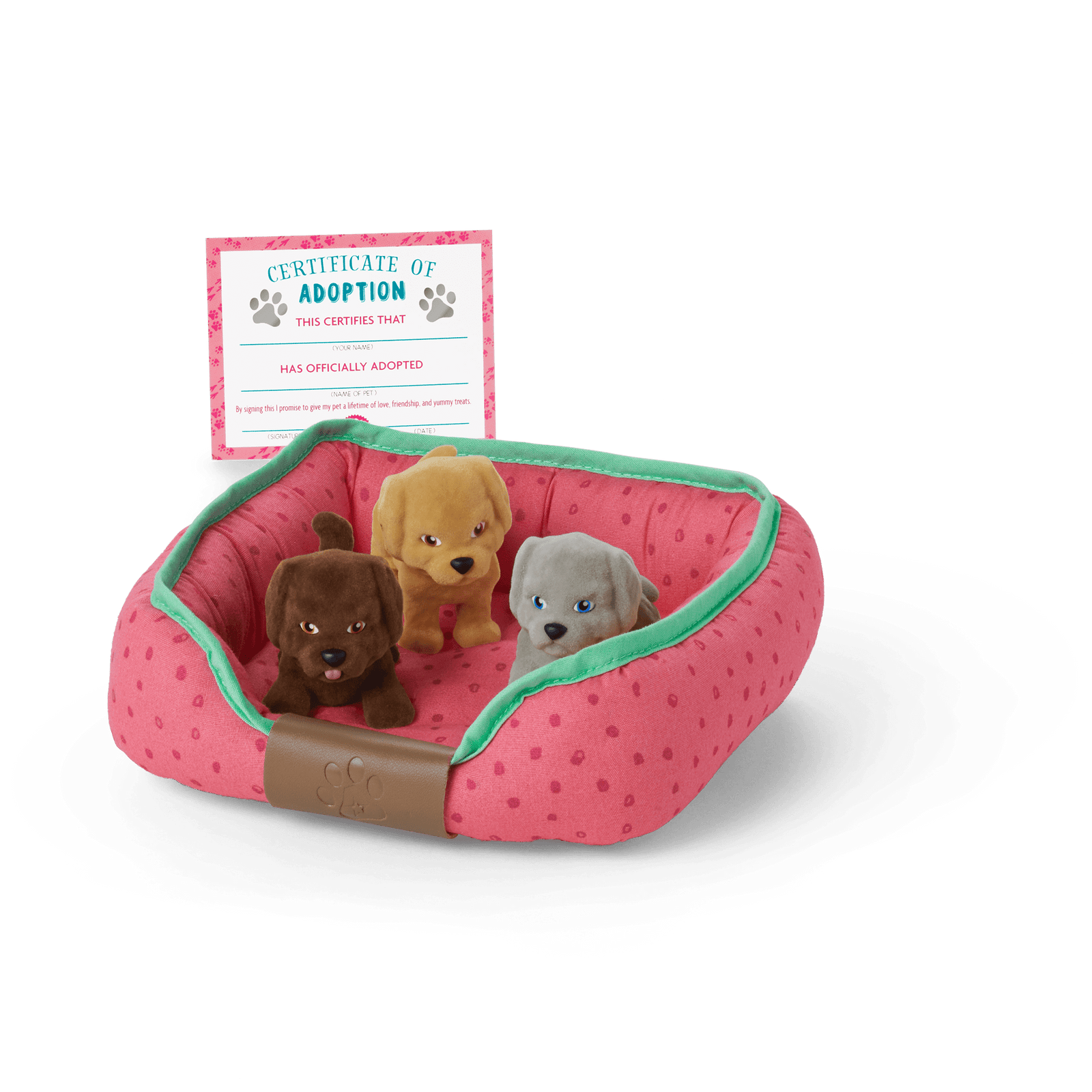 All the Puppies Set G6